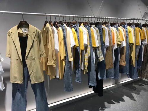 DBZ獨辮子服飾2020終端形象再升級，煥新體驗引領潮流風尚