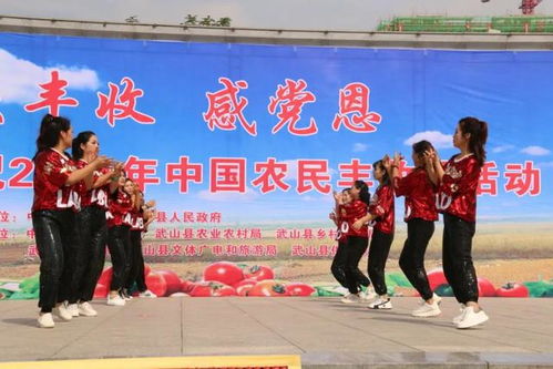 武山縣文化館 文藝盛宴慶豐收 教育咨詢惠民生